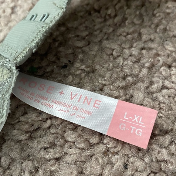 NWOT Bra and Pantie set - Picture 3 of 6